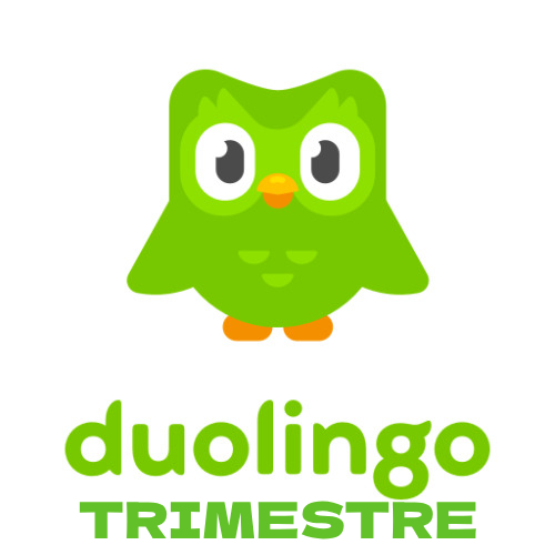 Duolingo3Meses